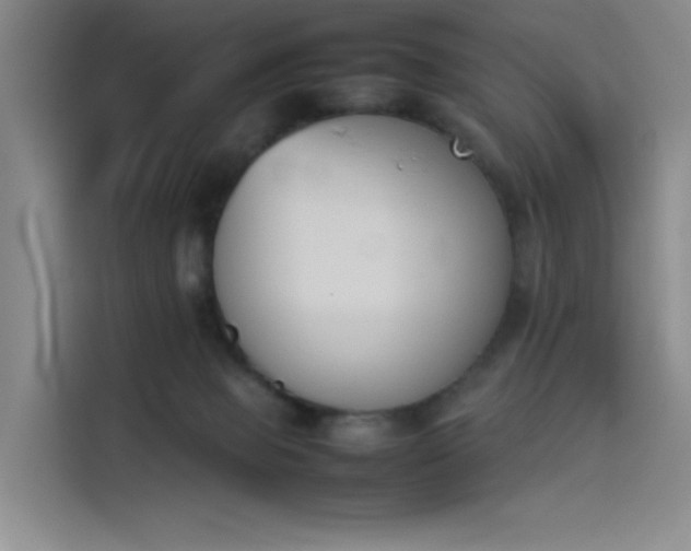 X0000114230077200910161620