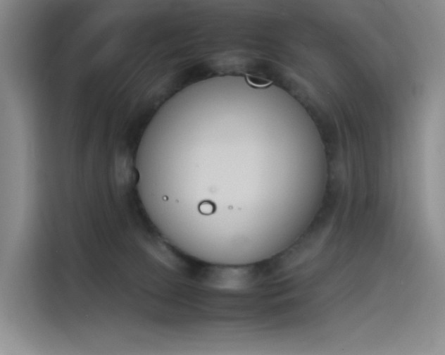 X0000114230081200910161620