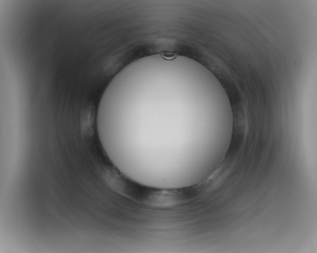 X0000114230082200910161620