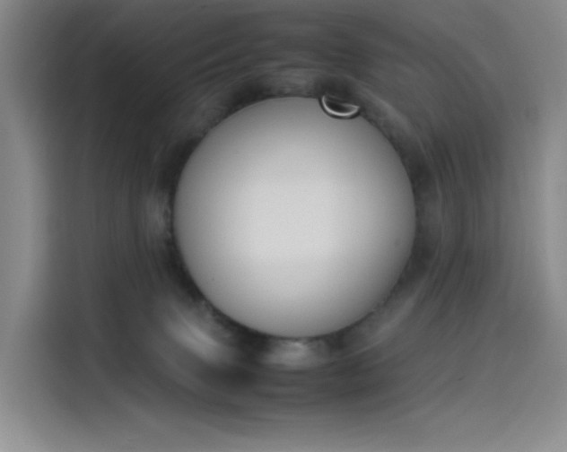 X0000114230083200910161620