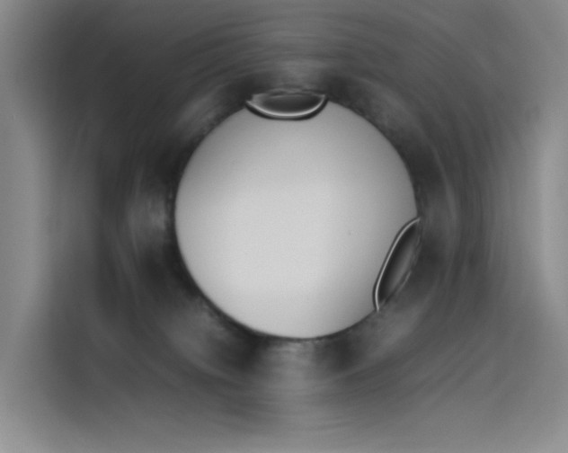 X0000114230084200910161620