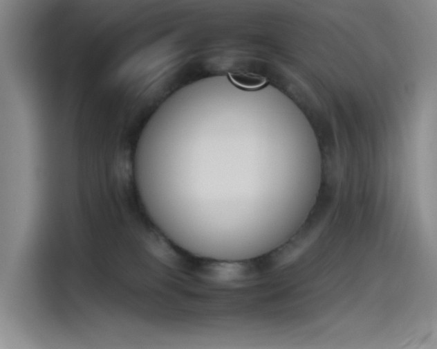 X0000114230085200910161620