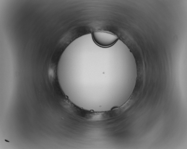 X0000114230090200910161620