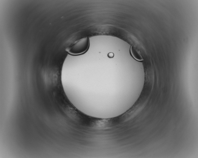 X0000114230092200910161620