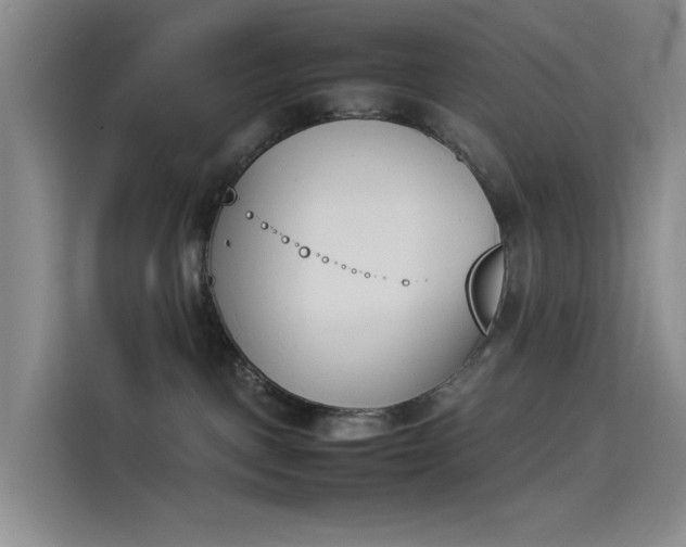 X0000114230093200910161620