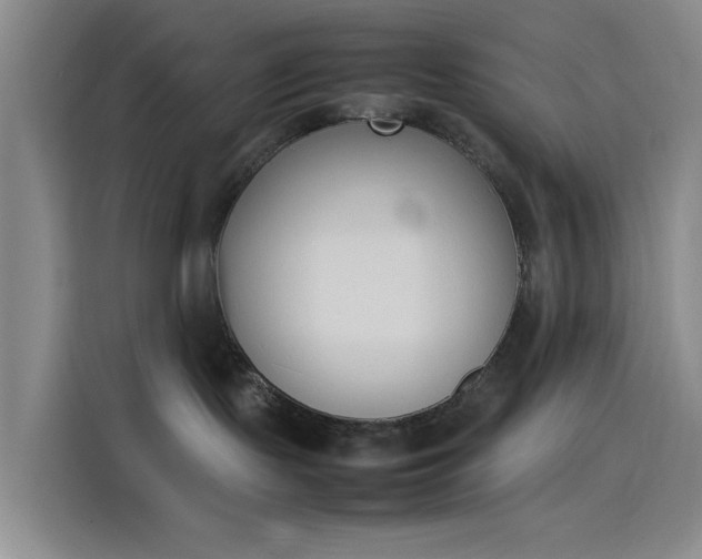 X0000114230095200910161621