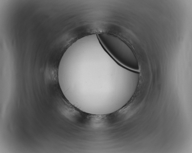 X0000114230096200910161621