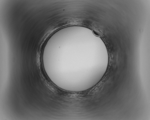 X0000114230098200910161620