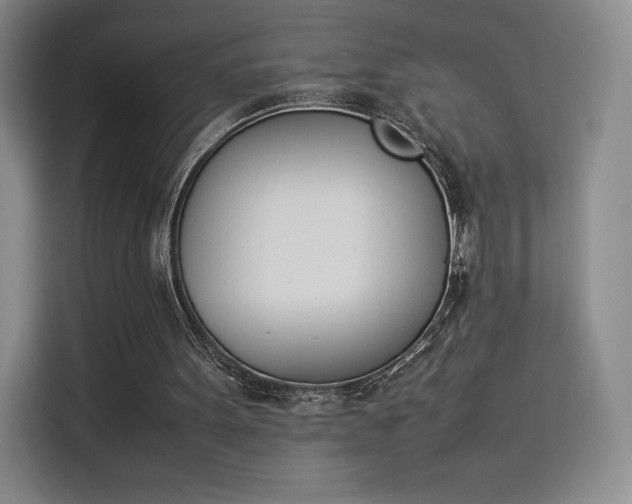 X0000114230099200910161620