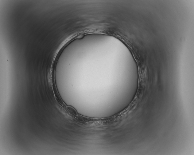 X0000114230100200910161620