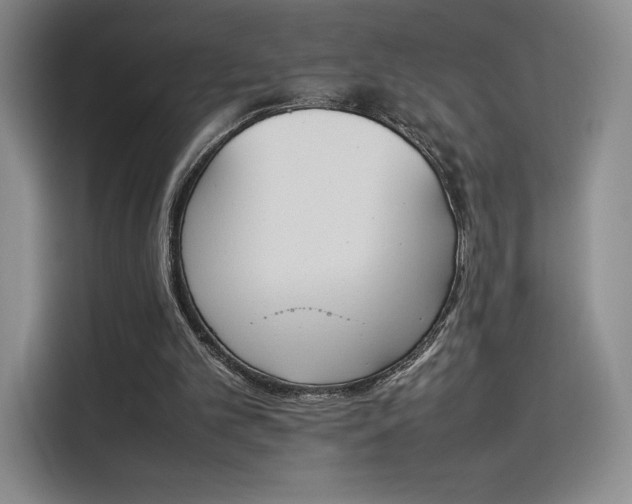 X0000114230101200910161620