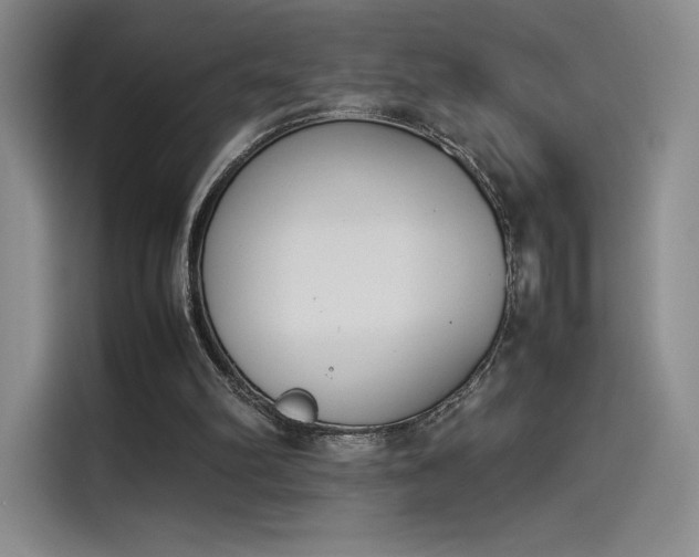 X0000114230102200910161620