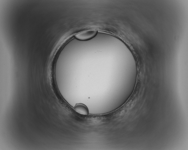 X0000114230103200910161620