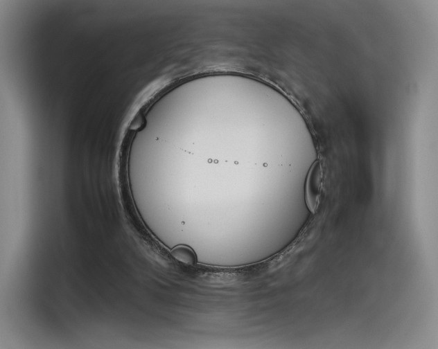 X0000114230104200910161620
