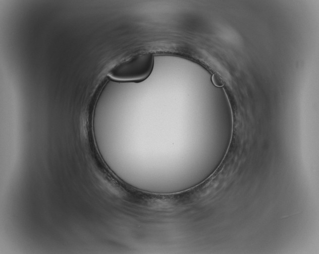 X0000114230107200910161620