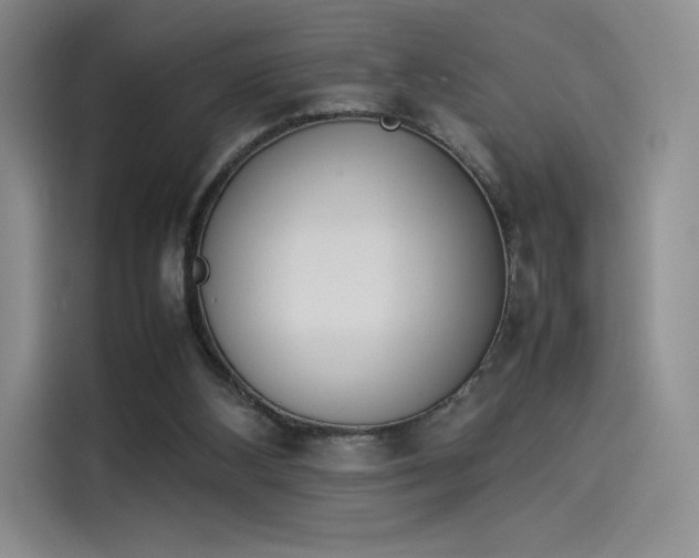 X0000114230108200910161620