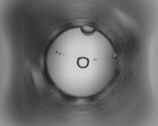 X0000114230111200910161620