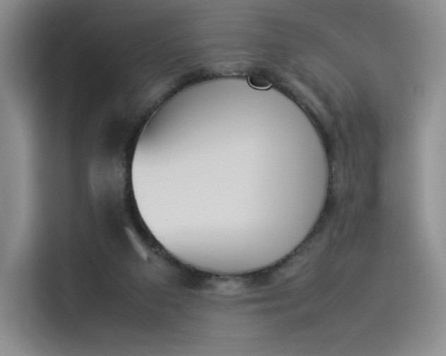 X0000114230113200910161620