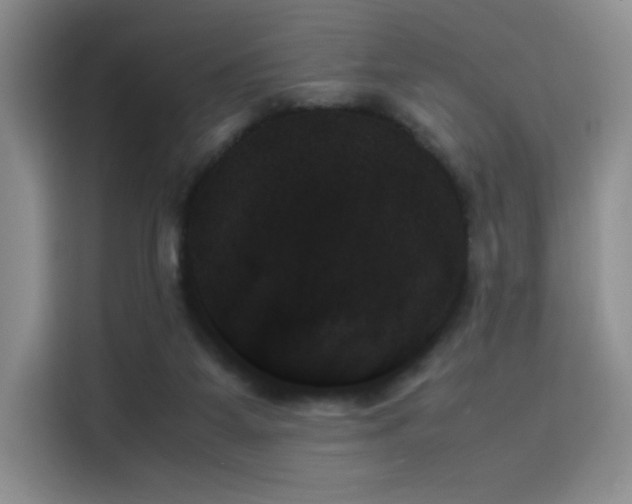 X0000114230115200910161620