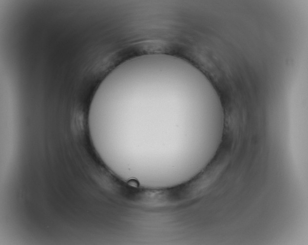 X0000114230117200910161620