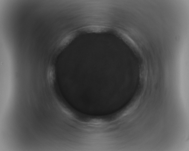 X0000114230119200910161620