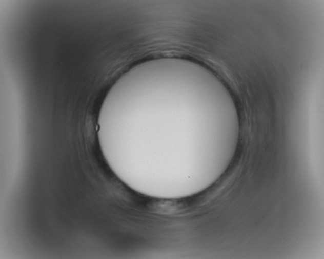 X0000114230121200910161619