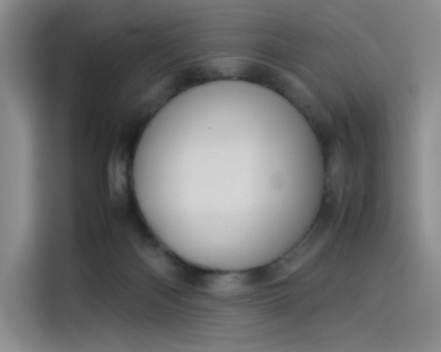 X0000114230122200910161619