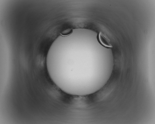 X0000114230125200910161619