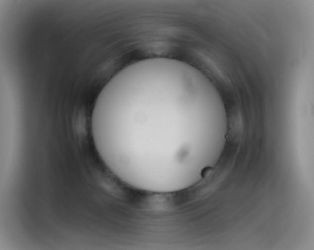 X0000114230126200910161619