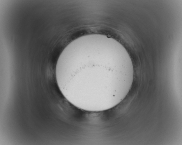 X0000114230129200910161619