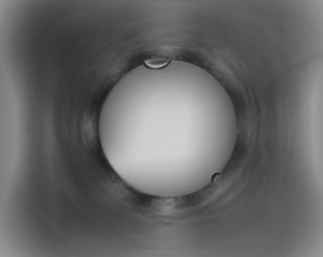 X0000114230131200910161619