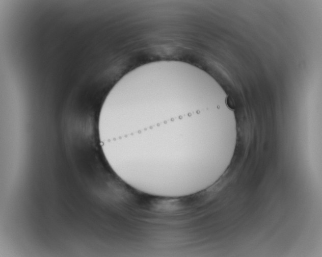 X0000114230132200910161619