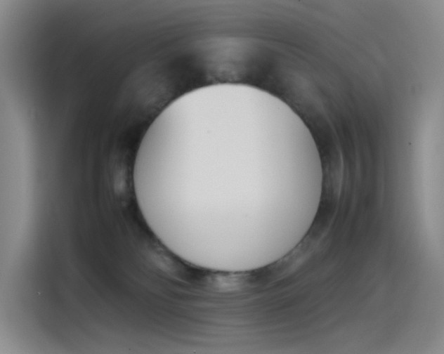 X0000114230134200910161619