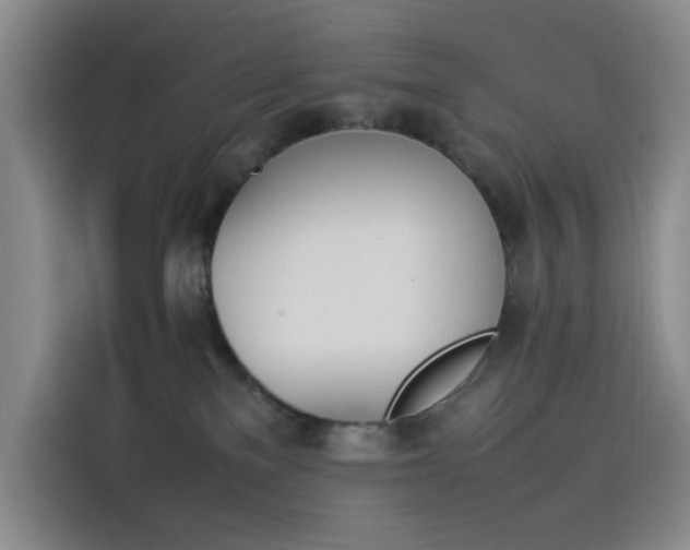 X0000114230137200910161619