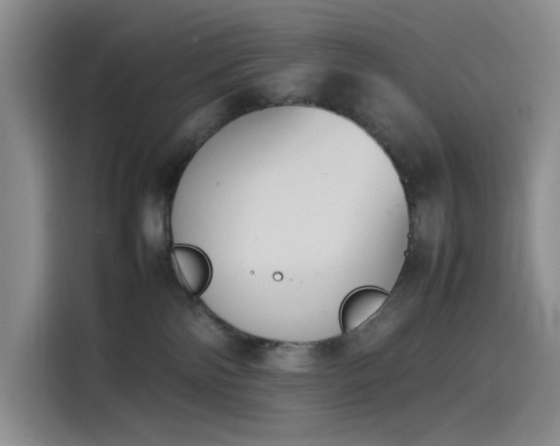 X0000114230138200910161619