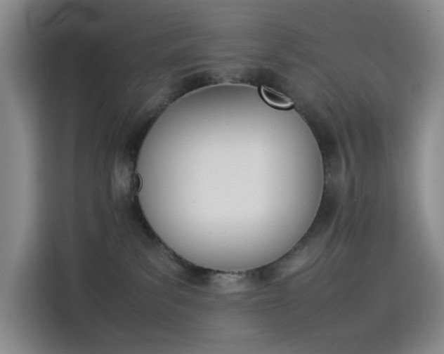 X0000114230139200910161619
