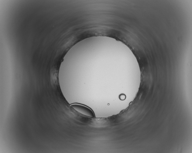 X0000114230141200910161619