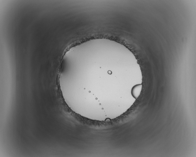 X0000114230144200910161619
