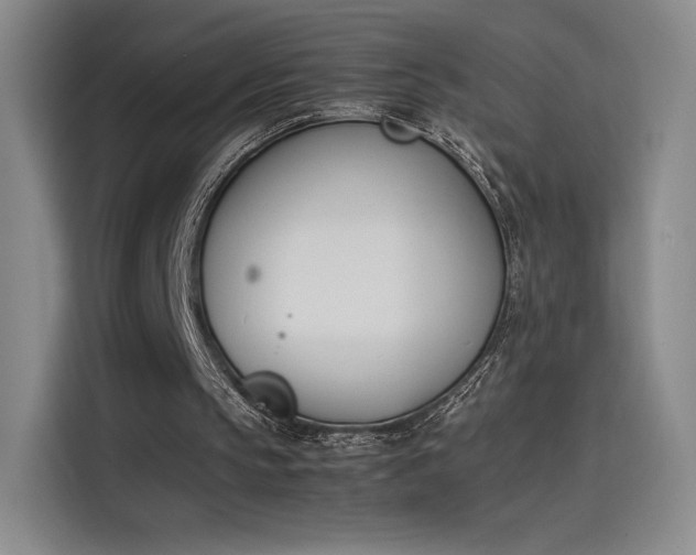 X0000114230145200910161618