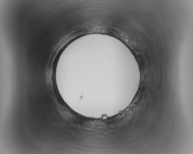 X0000114230146200910161618