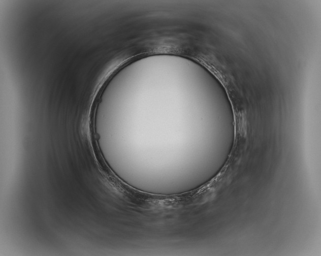 X0000114230147200910161619