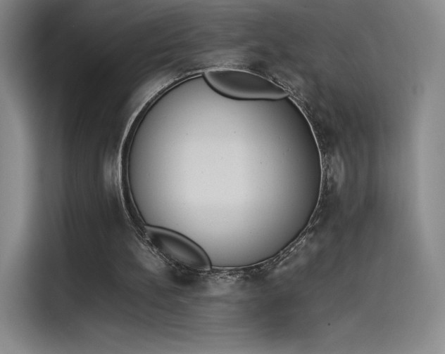 X0000114230148200910161619