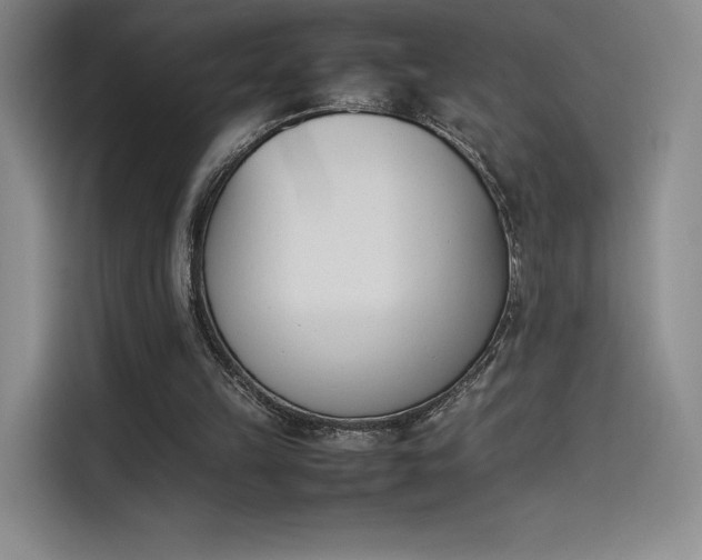 X0000114230149200910161619