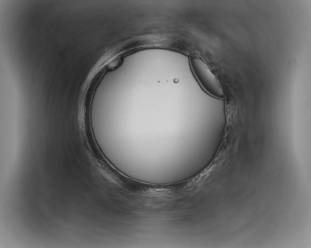 X0000114230150200910161619