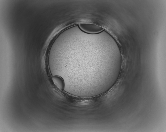 X0000114230151200910161619
