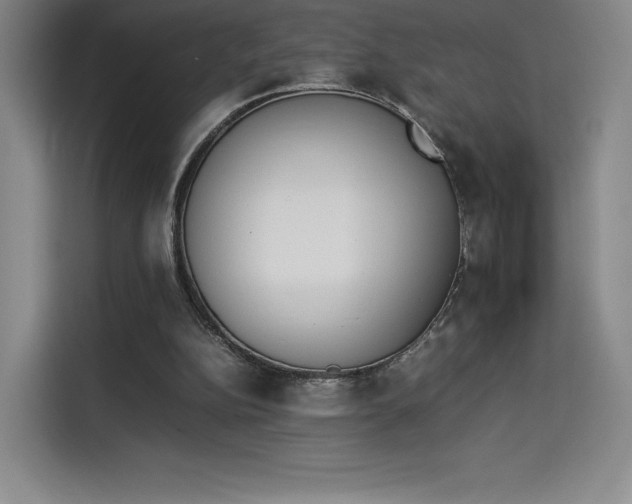 X0000114230152200910161619