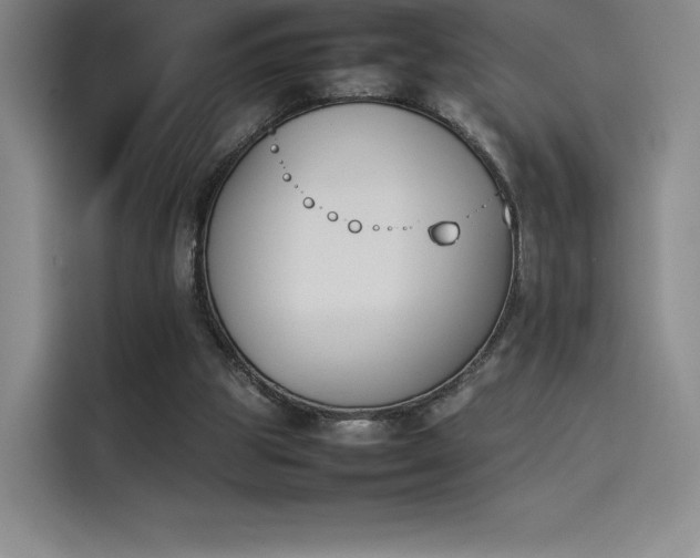 X0000114230153200910161619