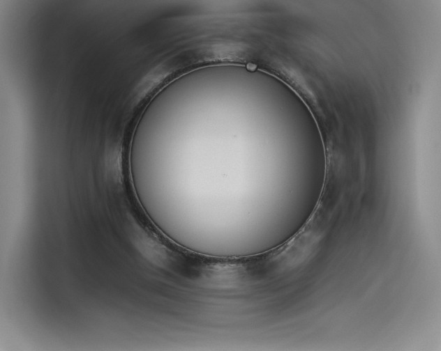 X0000114230154200910161619