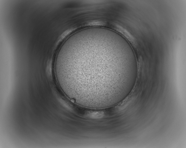 X0000114230155200910161619