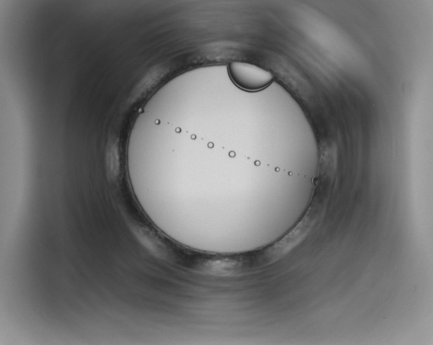 X0000114230158200910161619